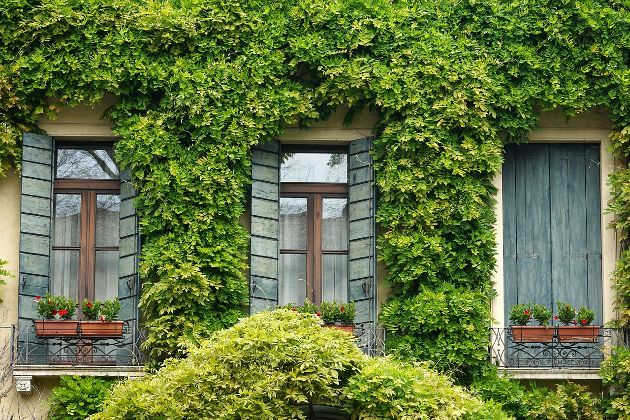 Impact Window Maintenance Checklist for Every Season in Florida